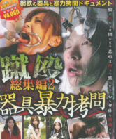 蹴殴　総集編2　新品