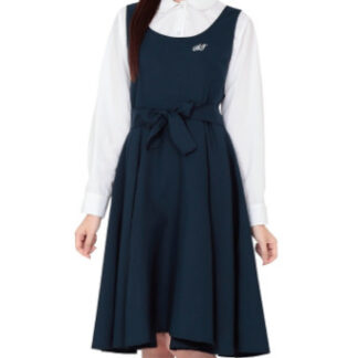 学校制服 typeいちょう