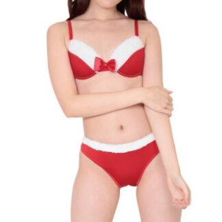 真冬のサンタビキニ