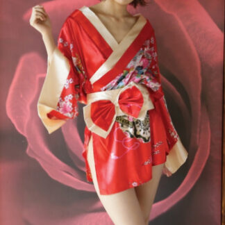 エロコス　高級花魁 太夫 レッド