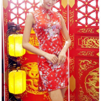 イイ女情熱真紅チャイナドレスセット